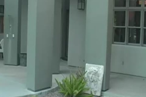 discharge It In My face hole - Scene 7 - cum Pig men