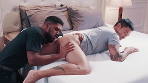 Noir Male - XL and ebony Travis Yukarin